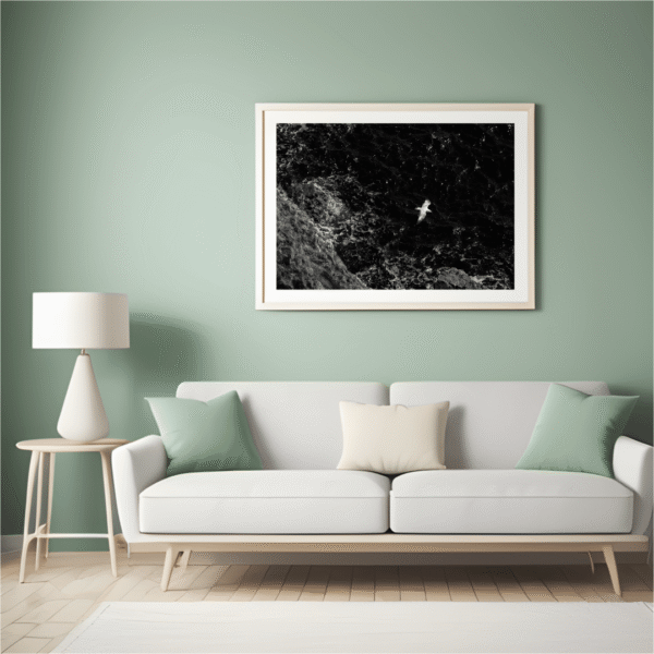 Atlantic wild – Image 2